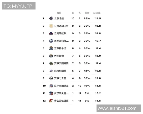 球队赛事信息全面解析助您掌握最新比赛动态与球队表现